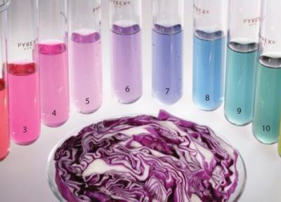 آب کلم از میزان اسید در آب خبر می دهد! آب کلم از میزان اسید در آب خبر می دهد!