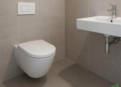 راهنمای انتخاب برترین توالت فرنگی ایرانی و خارجی راهنمای انتخاب برترین توالت فرنگی ایرانی و خارجی